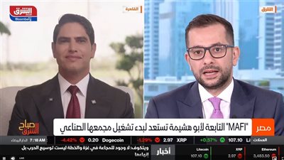 أبو هشيمة: بلتون تعتزم الاستحواذ على شركة جديدة تعمل في إفريقيا.. ولن أدخل مجلس الإدارة 