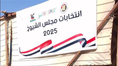 اليوم.. انطلاق ماراثون انتخابات مجلس الشيوخ بكفر الشيخ بمنافسة بين 8 مرشحين على 3 مقاعد