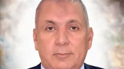 محافظ الوادي الجديد: حل مشكلة انقطاع الكهرباء واستقرار الخدمة بالفرافرة