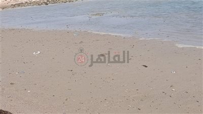 بسبب ظاهرة الجزر.. انحسار المياه عن شواطئ الغردقة لعشرات الأمتار| صور