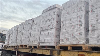 دخول 31 شاحنة مساعدات إماراتية إلى غزة عبر معبر رفح