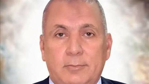 محافظ الوادي الجديد