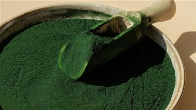 دراسة تحدد نوعًا من الطحالب الصالحة للأكل تعالج ارتفاع ضغط الدم