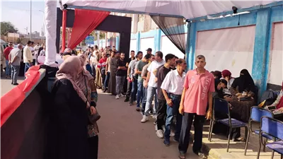 الحصر العددي بالدائرة الأولى ببنها | مجدي مسعود يتصدر الأصوات الفردية.. والقائمة الوطنية تتقدم