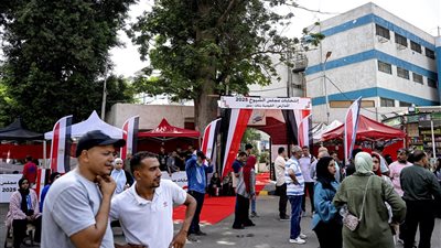 انطلاق جولة الإعادة بانتخابات مجلس الشيوخ 2025 في الخارج