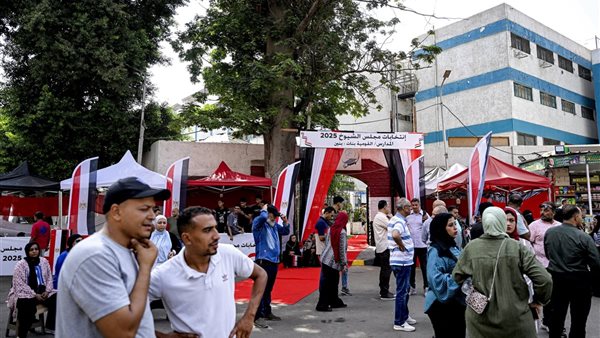 انتخابات مجلس الشيوخ