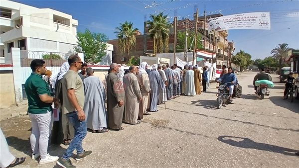 انتخابات مجلس الشيوخ