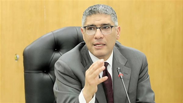 محافظ الجيزة 