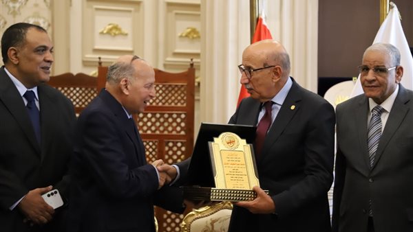 رئيس نادي قضاة جنوب