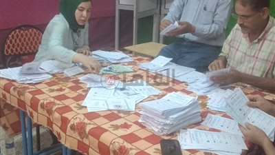 انتخابات مجلس الشيوخ.. بدء فرز الأصوات داخل اللجان الفرعية في سوهاج