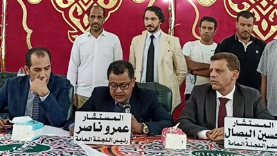 مؤشرات أولية.. فوز مرشحي التحالف الوطني في انتخابات الشيوخ بالبحيرة