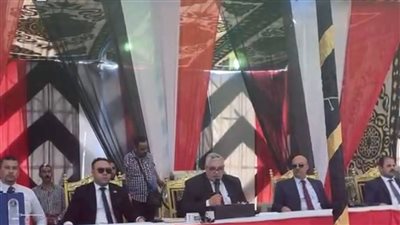 ننشر النتائج الأولية لانتخابات مجلس الشيوخ بالقليوبية