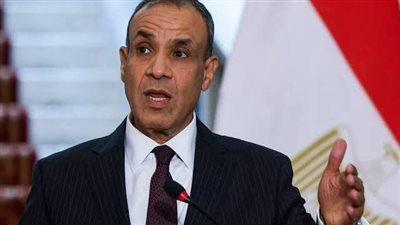 وزير الخارجية: مصر لن تمس بسوء.. والقضية الوجودية الأولى لنا هي المياه