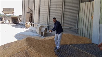 بتعليمات من وزير الزراعة.. تشكيل 35 لجنة للتفتيش على مخازن الأعلاف وخاماتها