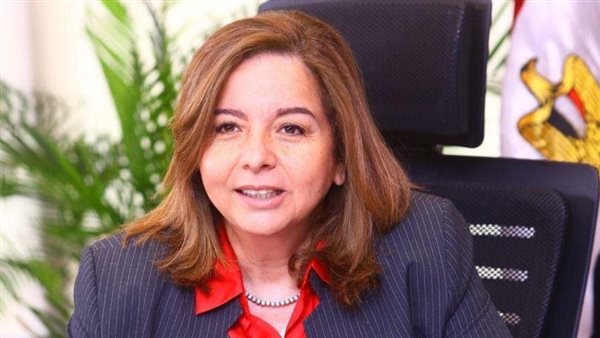 الرئيس التنفيذي لصندوق