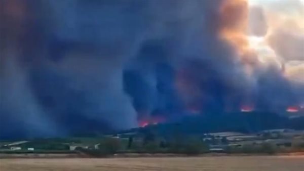 حرائق الغابات في