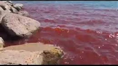 بعد تصدرها محركات البحث.. ما حقيقة تصبغ بحيرة طبريا في فلسطين باللون الأحمر؟ 