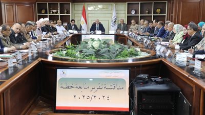 تنفيذي بني سويف يقر خطة استثمارية جديدة بـ850 مليون جنيه.. ونسبة إنجاز 115% للعام المالي الماضي