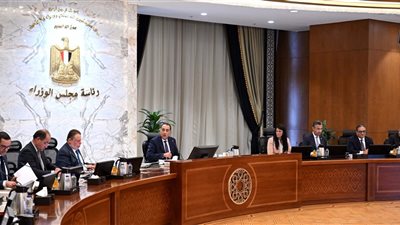 لمناقشة مؤشرات الأداء المالي ومعدلات التضخم.. مدبولي يترأس اجتماع المجموعة الوزارية الاقتصادية