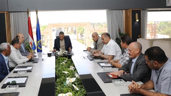 محافظ أسوان