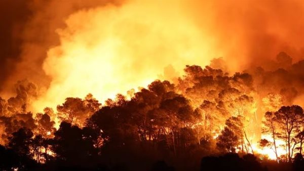 حرائق الغابات 