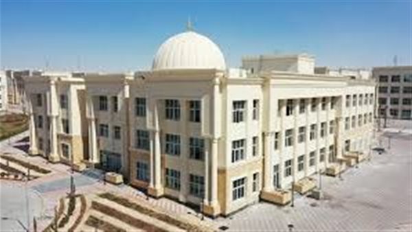 تنسيق جامعة المنيا