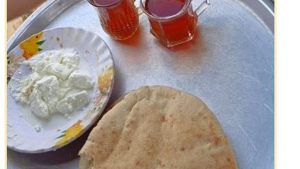 جبنة مصرية في غزة