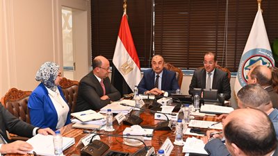 وزيرا المالية وقطاع الأعمال يبحثان الاستغلال الأمثل للموارد والأصول المملوكة للدولة