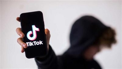 بلاغات جديدة.. محامون يتهمون مجموعة من البلوجرز بخدش الحياء العام