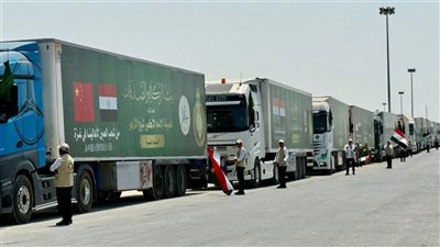 بتوجيهات شيخ الأزهر.. دخول قافلة بيت الزكاة والصدقات الإغاثية الحادية عشرة إلى أهالينا في غزة