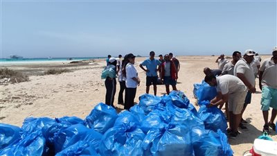 البيئة تنظم حملة نظافة موسعة بشواطئ جزيرة أبو منقار بالتعاون مع جمعية هيبكا