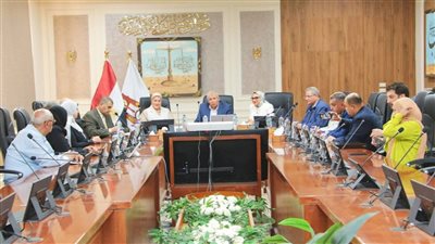 محافظ الوادي الجديد يعقد اجتماعًا مع رئيس المجلس القومي للأمومة والطفولة