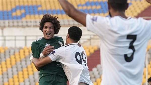 زد والمقاولون العرب