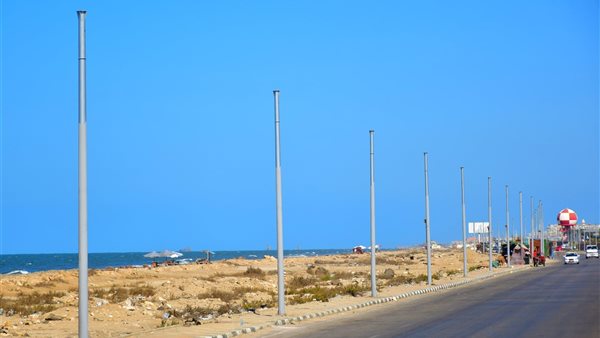 الجهود التنفيذية