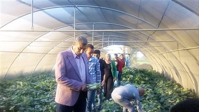 محافظ أسيوط: ندعم الأنشطة الزراعية باعتبارها المصدر الرئيسي للغذاء 