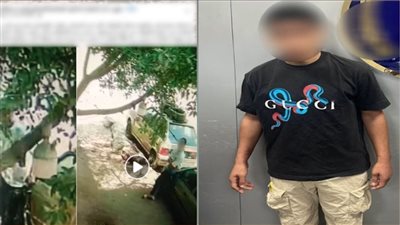 لخلاف على ركن السيارات.. القبض على متهم بإتلاف مرايات سيارتين عمدًا بالبساتين