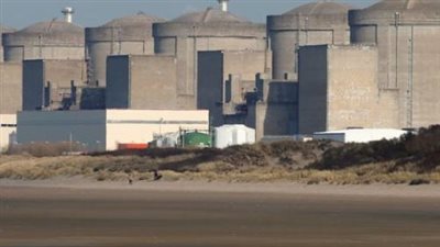 القناديل البحرية تغلق محطة نووية في فرنسا.. ما القصة؟