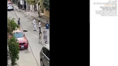 ضبط المتهم بالتعدي على كلب بعصا خشبية في الجيزة