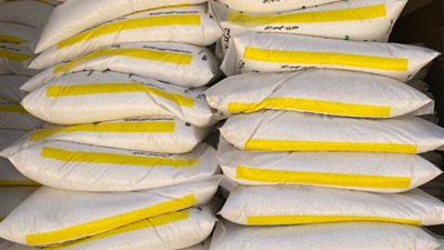 زراعة جنوب سيناء: توزيع 300 طن أسمدة على المزارعين بأسعار مدعمة | خاص