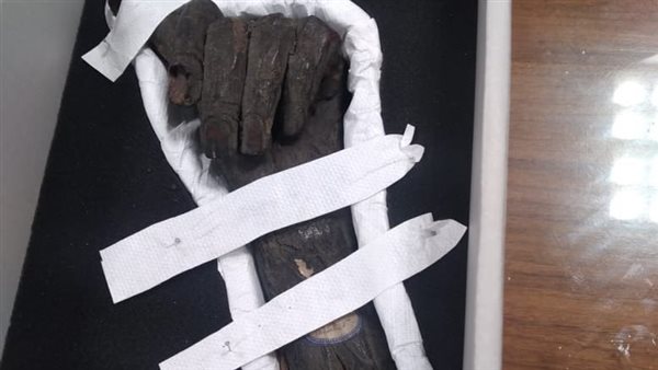 جانب من القطع الأثرية