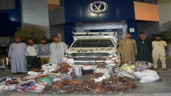 المتهمون بسرقة تاجر