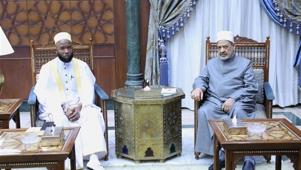 جانب من الاستقبال