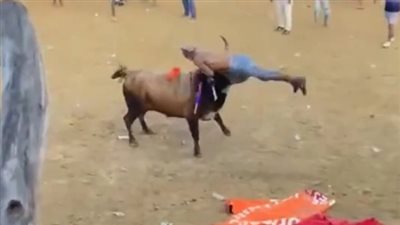 مصرع مصارع ثيران كولومبي بنطحة قاتلة خلال مهرجان شعبي | فيديو