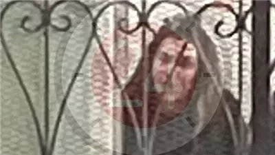 محامي الصغير آدم يطالب باستدعاء مأمور قسم شرطة العلمين لسماع شهادته