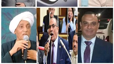 بعد اعتمادها رسميا.. ننشر النتيجة النهائية لانتخابات مجلس الشيوخ في قنا