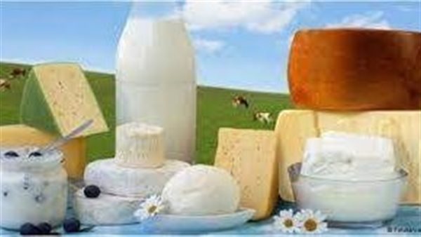 منتجات الألبان 