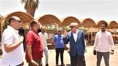 محافظ الأقصر يجري جولة ميدانية بالمدينة لمتابعة النظافة والانضباط استعدادًا للموسم السياحي