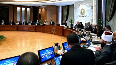 قرار حكومي بشأن ضوابط التصرف في الأراضي الصناعية وتسعيرها