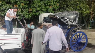 حملة مسائية لضبط عربات الحنطور المخالفة بمدينة أسوان وتشكيل لجنة لمواجهة المظاهر السلبية لتحقيق الانضباط