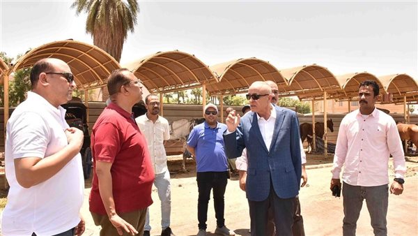 جولة محافظ الأقصر